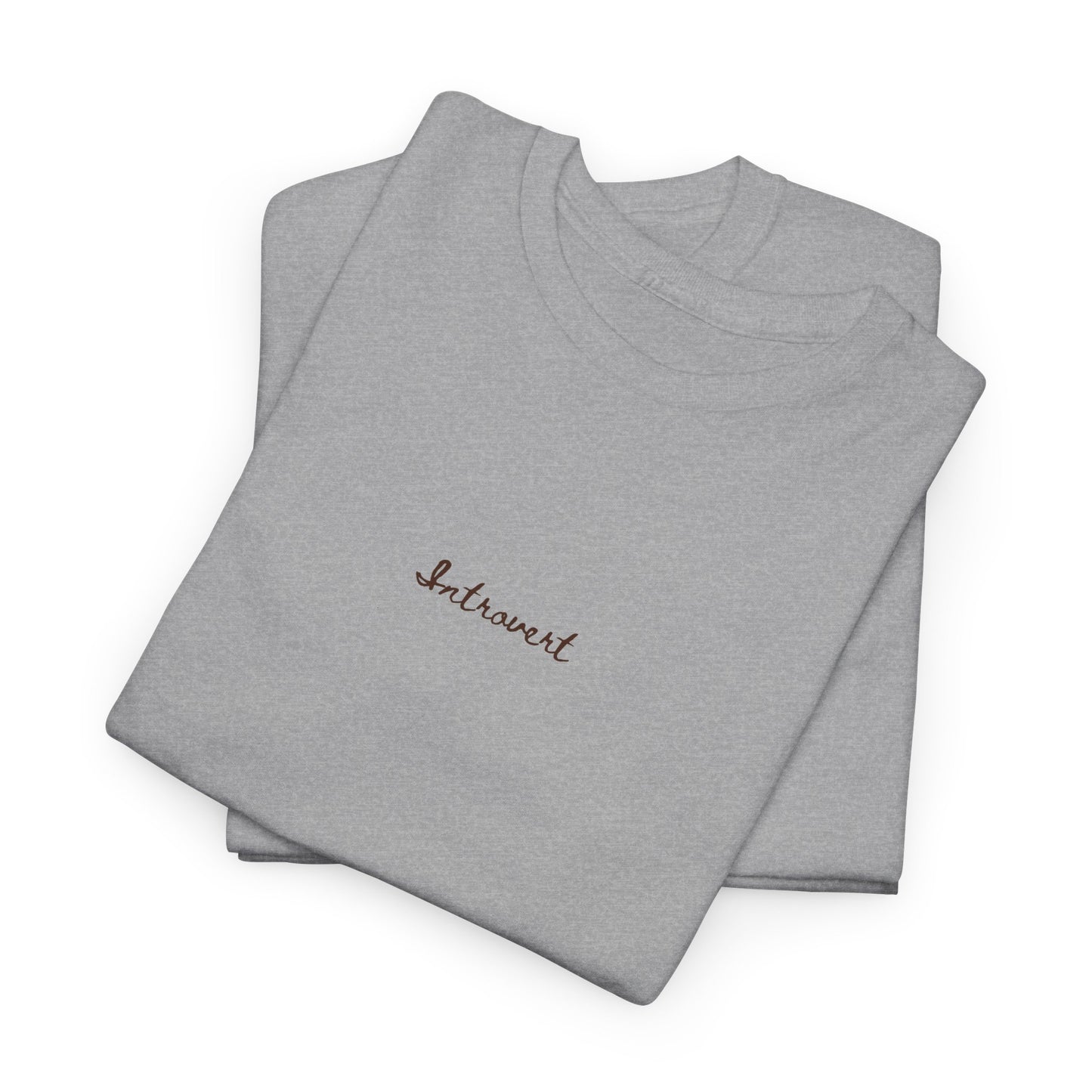 Introvert Cute top,