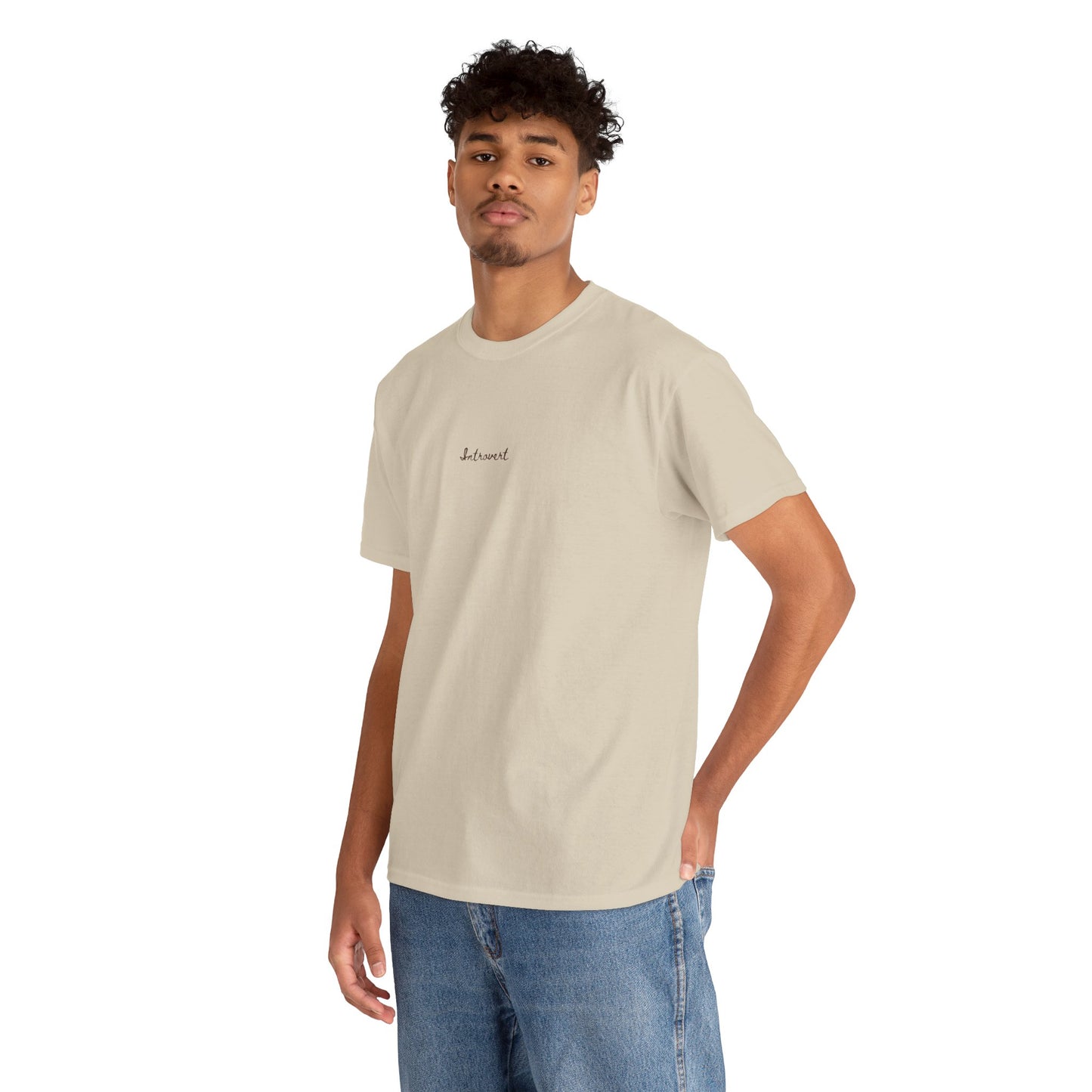 Introvert Cute top,