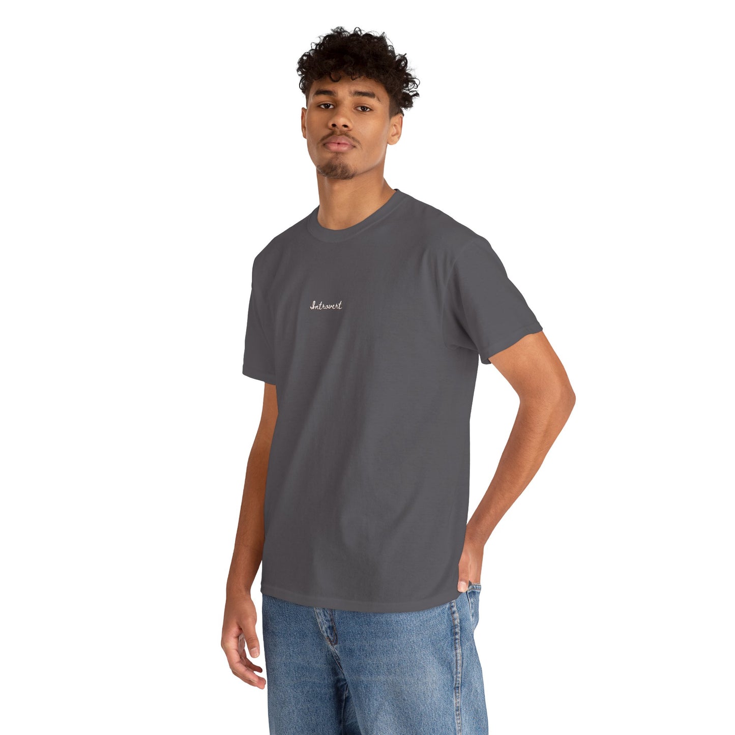 Introvert Cute top,