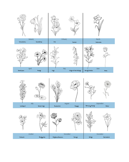 Personalised Birth Month Flower Prints | Botanical Line Art