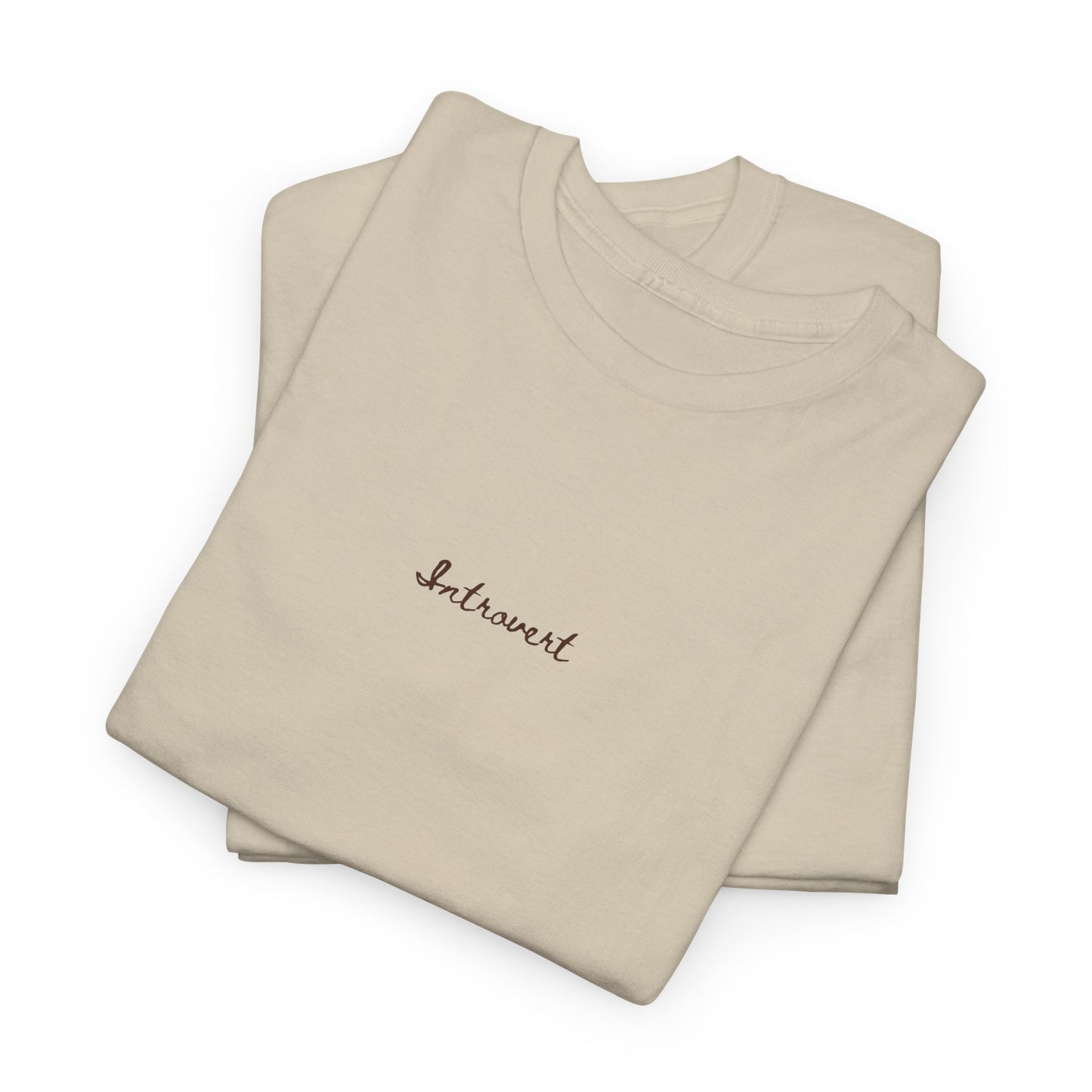 Introvert Cute top,