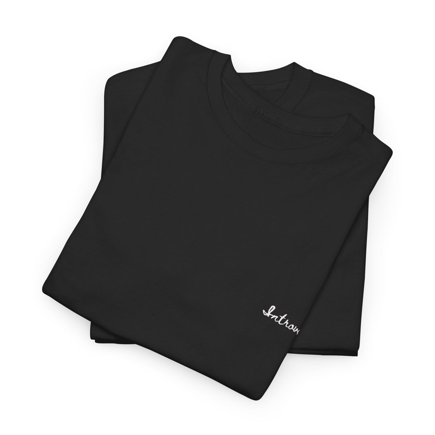 Introvert Cute top,