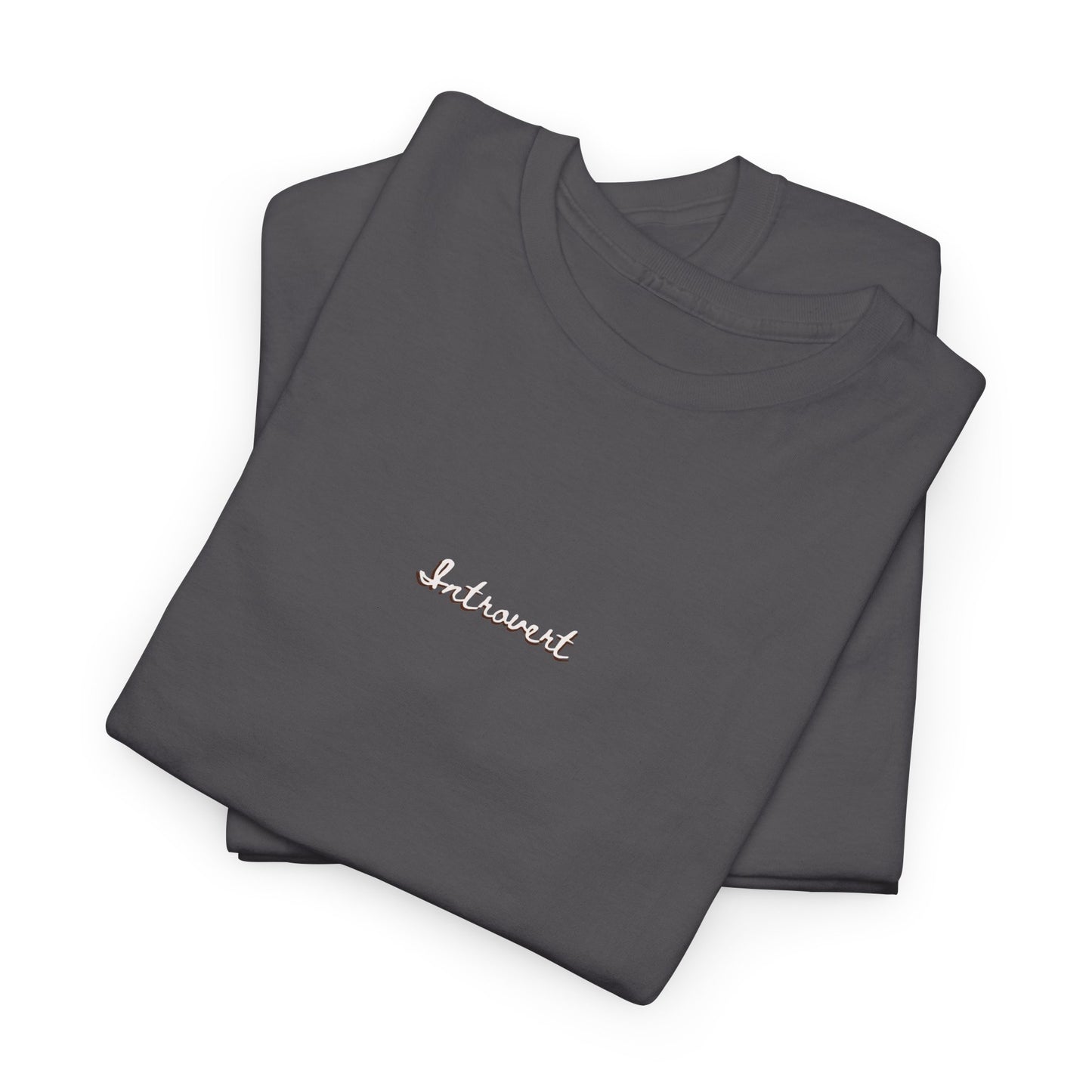 Introvert Cute top,